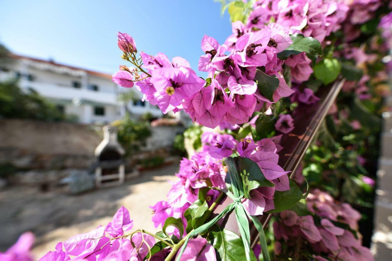 Apartments Lavanda - Free Parking And Grill เยเซรา ภายนอก รูปภาพ